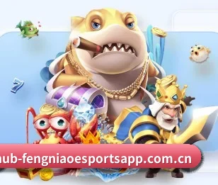 蜂鸟电竞围绕看球场景设计的核心服务 - Fengniao Esports